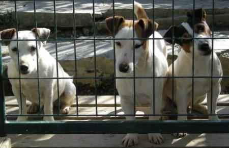 ASTY , BYLITIS , CLOVIS