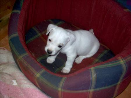 Ally , fille de Virgule